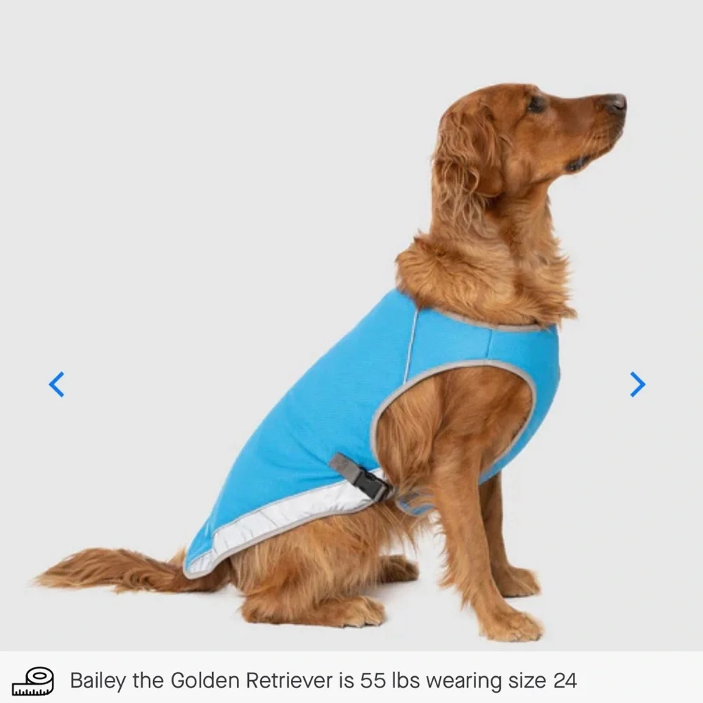 Canada Pooch Chill Seeker Cooling Vest - Blue - Size 12